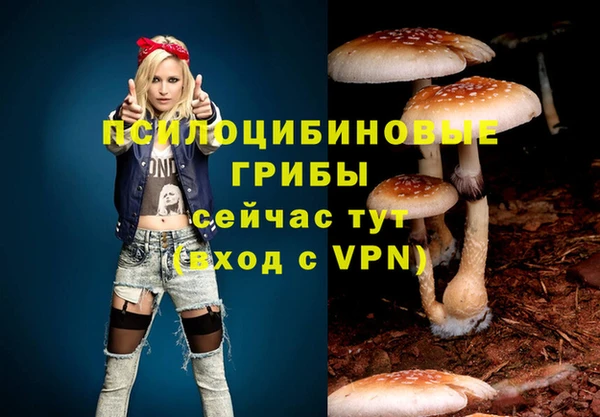 кристаллы Елабуга