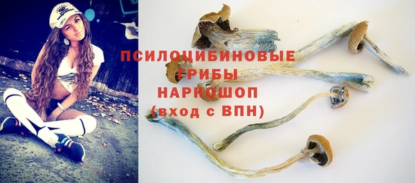 амфетамин Ельня